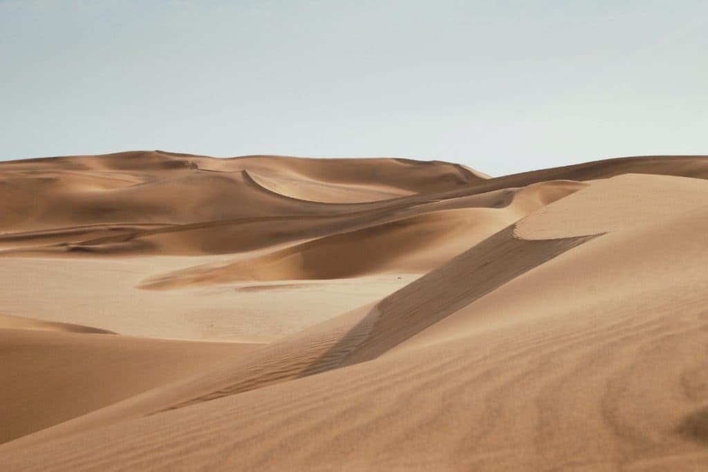 Desert landscape with sand dunes